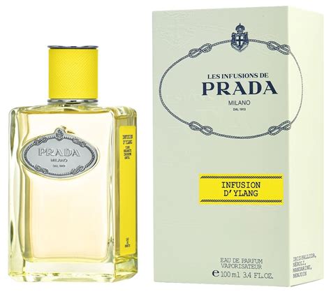 parfum prada sandalwood|prada infusion d'ylang perfume.